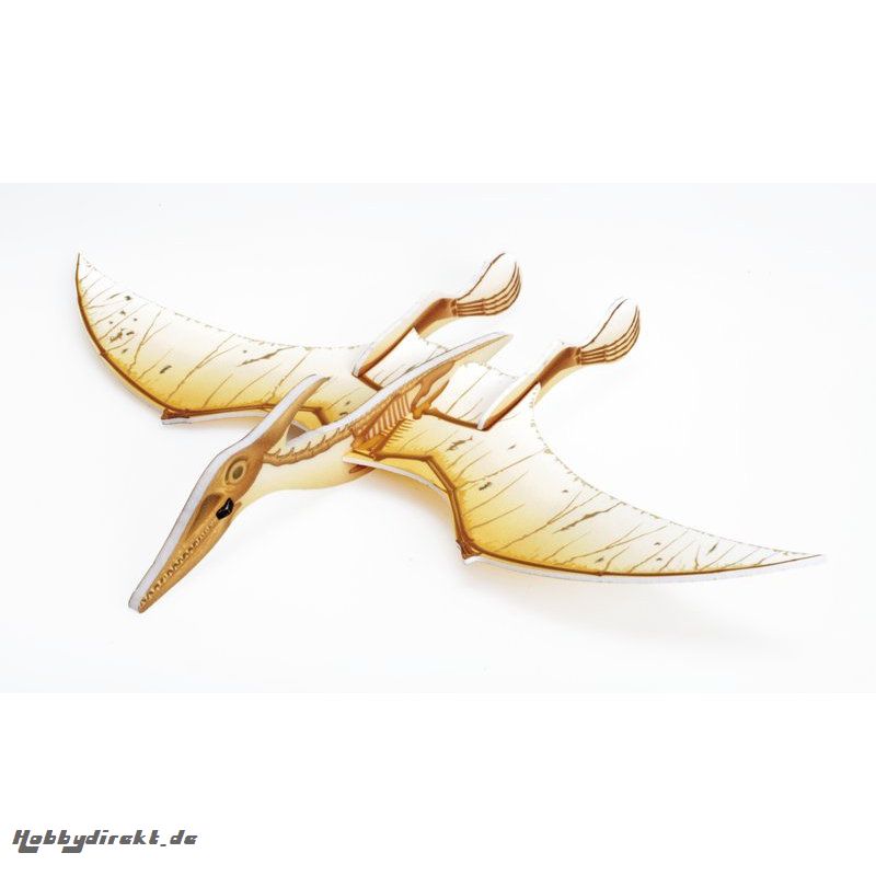 Pteranodon Skelett Graupner 13350.03