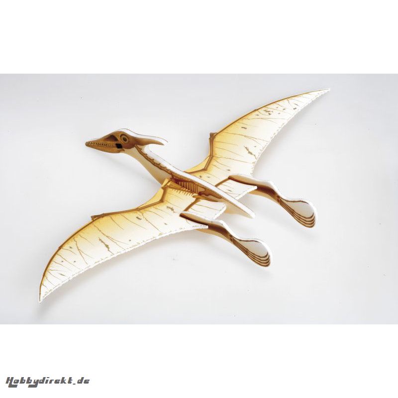 Pteranodon Skelett Graupner 13350.03