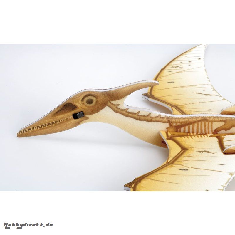 Pteranodon Skelett Graupner 13350.03