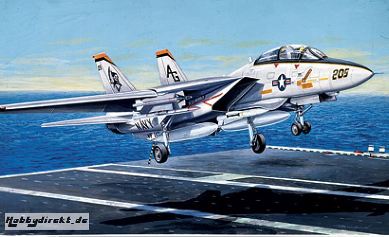 1:72 F-14 A Tomcat Carson 1156 510001156