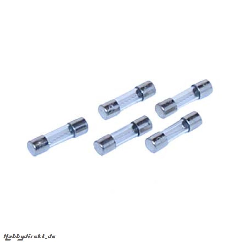 Fuses, 2 Amp (5) Horizon DYN4004