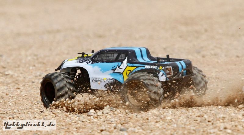 ECX Ruckus 1/24 4WD Monstertruck RTR, schwarz/weiß Horizon ECX00013T1