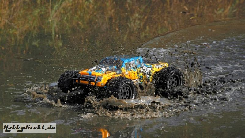 ECX Ruckus 1/10 4WD Brushless Monstertruck RTR mit AVC Horizon ECX03016I