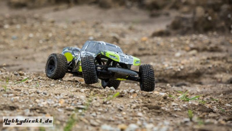 ECX AMP MT 1:10 2WD Monster Truck: schwarz/grün RTR INT Horizon ECX03028IT2