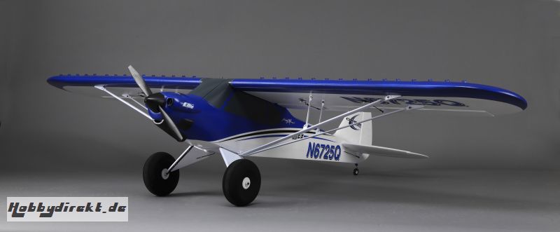 E-flite Carbon-Z Cub BNF Basic Horizon EFL10450