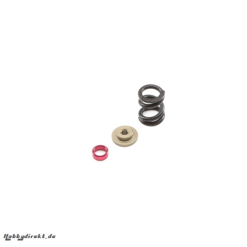 HD Slipper Spring Set: All 22 Horizon TLR232066