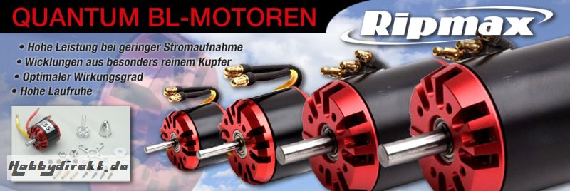 Ripmax Quantum II 25 BL Motor