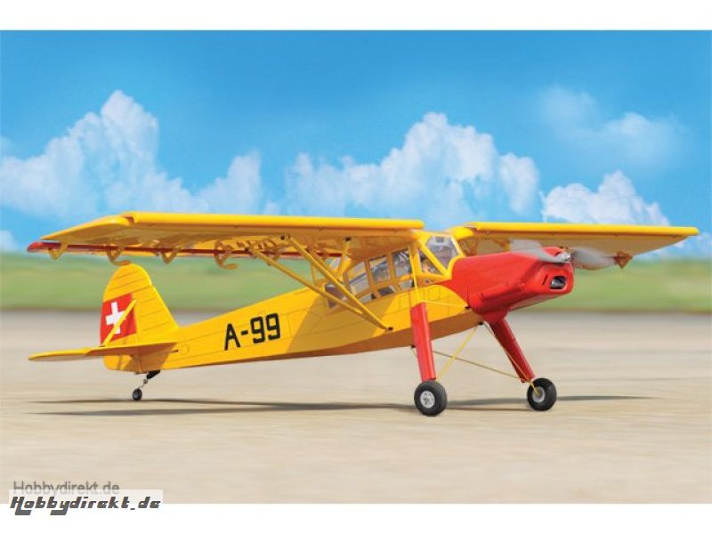 Fieseler Storch Fi156 EP Pichler C5523