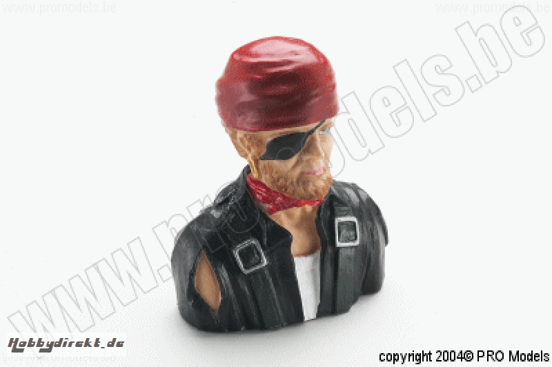 Protech RC - Bust Pirate 1/6 90X71 AT014