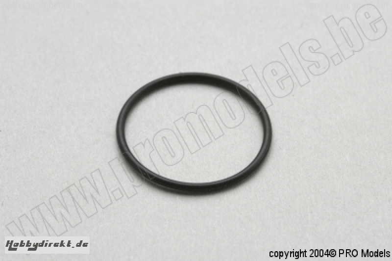 VERGASER O-RING M1050.024