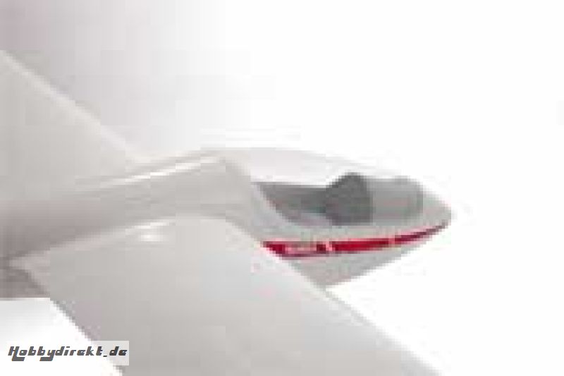 ASH 26 Voll-GFK Winglets-Paar Robbe 25090001 1-25090001