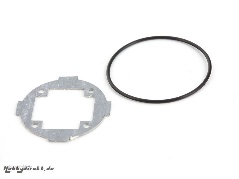 DIFFERENTIAL GASKET AND O-RING TD310576