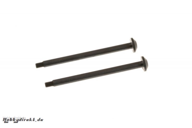 HINGE PIN REAR OUTER (2pcs) TD330105