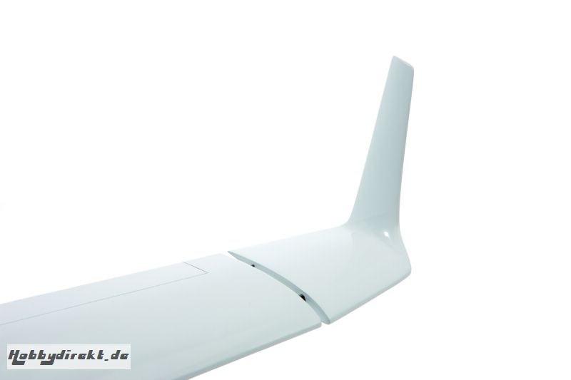 DG-808C Voll-GFK Winglets-Paa Robbe 25070001 1-25070001