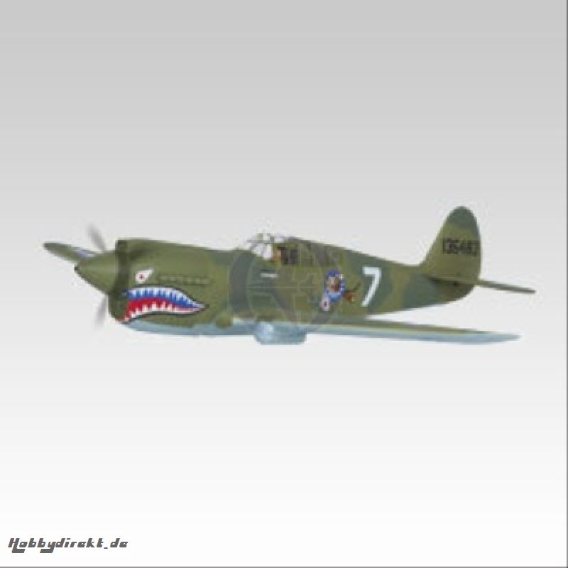 P-40 War Hawk OBL ohne Motor Thunder Tiger 4339-K20