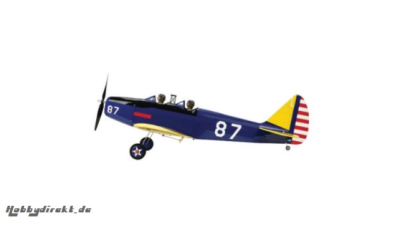 PT-19 450 ARF Horizon EFL2675