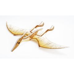 Pteranodon Skelett Graupner 13350.03