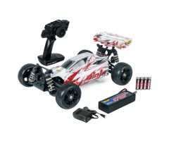 1:10 Ninja 4WD X10 2.4G 100% RTR Carson 404170 500404170