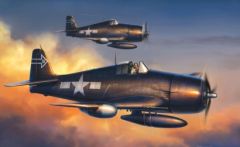 1:72 F6F-5N Hellcat Night Version Carson 725080 500725080