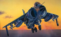 1:72 Sea Harrier FRS. 1 Carson 1236 510001236