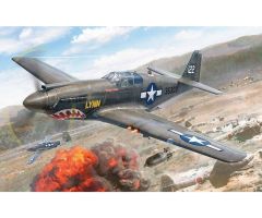 1:72 US P-51A Mustang Carson 1423 510001423