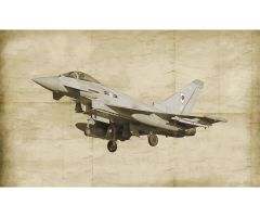 1:72 EF-2000 Typhoon - RAF Service Carson 1449 510001449