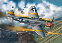 1:48 P-47D Thunderbolt Carson 2728 510002728