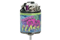 Purple BEAST mod.Motor 2x12T Graupner 97183