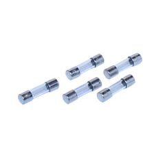 Fuses, 2 Amp (5) Horizon DYN4004