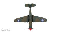 E-Flite P-40 300 ARF Horizon EFL6075