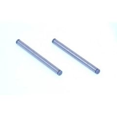 Front Inner Hinge Pins: XXT,X Horizon LOSA2007