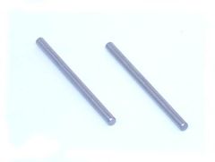 Rear Inner Hinge Pins: XX, XX Horizon LOSA2161