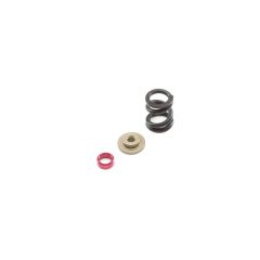 HD Slipper Spring Set: All 22 Horizon TLR232066