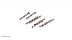 Hinge Pin Set, TiCN (8): 22/2.0/T/SCT Horizon TLR234003