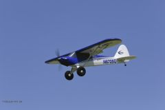 E-flite Carbon-Z Cub BNF Basic Horizon EFL10450