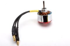 Brushless Motor - Mad Shark Joysway M-JS-820501