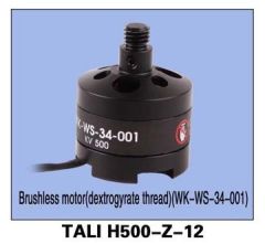 Bürstenloser Motor WS-34-001 Schwarz TALI H500-Z-12 CW WALKERA 226460600