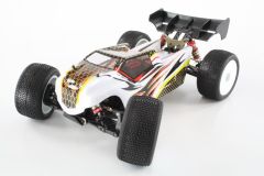 EMB-TGH 1:14 Mini Brushless Truggy RTR 31868