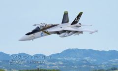 F-18 Jolly Rogers ARF 35378