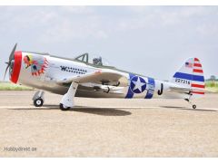 P-47 Thunderbolt NEUE VERSION Pichler C4245