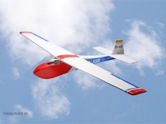 Swallow T-45 (Sport) Pichler C5521