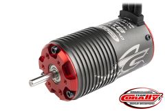 Team Corally - Dynotorq 815 Sensorless 4-Pole 1750KV Brushless Motor C-815175