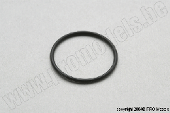 VERGASER O-RING M1050.024