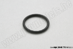 VERGASER O-RING M1050.033