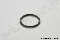 VERGASER O-RING M1051.033