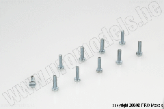 FLACHK.-SCHRAUBE M2X8, 10 STK MA2024