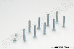 Protech RC - Pan Head Screw M2,5X16, 10 Pcs MA2029