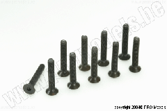 Protech RC - Counters. Screw 4X25, 10 Pcs MA2192