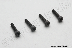 Protech RC - Cylinder Head Screw T0600.201