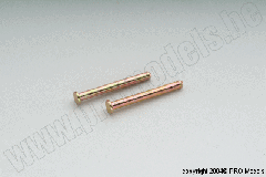 Protech RC - Suspension Arm Pin 25mm T0660.036